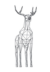  Deer polygonal lines illustration. Abstract vector deer on the white background