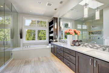 Contemporary bathroom interior. Luxury American modern home.