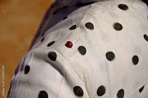 Fotomural Close-up Of Lady Bug On Person