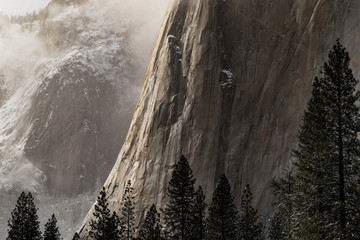 Wall Mural - view of el capitan in yosemite national park