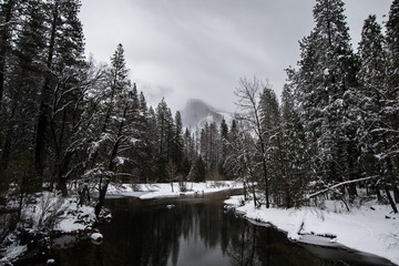 Wall Mural - view of river flowing through forest in winter