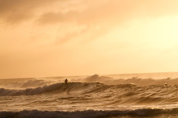 Wall Mural - man surfing in sea during sunset