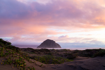 Wall Mural - view of beach during sunrise