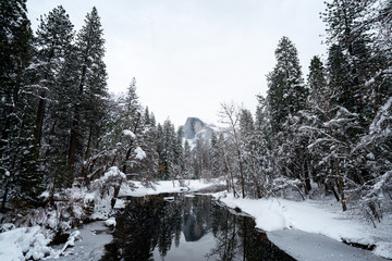 Wall Mural - view of river flowing through forest with half dome in background