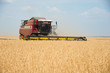© SGr - Combine harvesters in a field of wheat