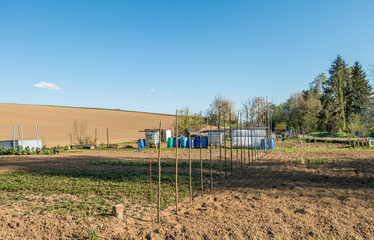 Wall Mural - Schrebergarten