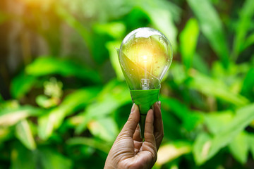 Light bulbs that grow, in the concept of energy in nature.