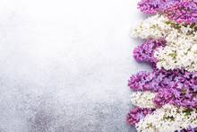 Brunches Of Beautiful Purple And White Lilacs On Stone Background. Mockup. Top View. Copy Space For Your Text