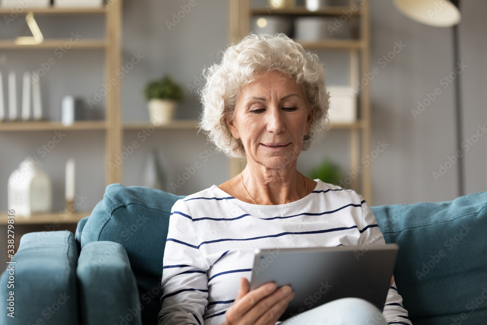 Calm mature woman using computer tablet, looking at screen, sitting on couch at home, older senior female with grey curly hair chatting or shopping online, using apps, services in internet - obrazy, fototapety, plakaty 