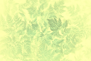  green vintage background leaves grass / abstract unusual background vintage look