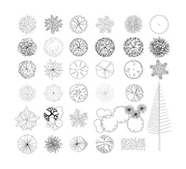 top view and side view, set of graphics trees elements outline symbol for architecture and landscape