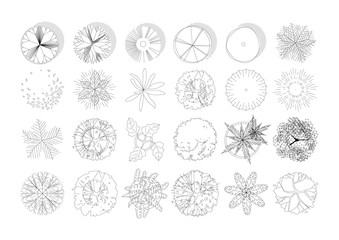 Wall Mural - top view and side view, set of graphics trees elements outline symbol for architecture and landscape