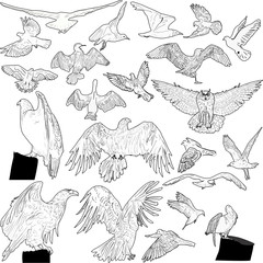 Sticker - twenty two birds outlines on white background