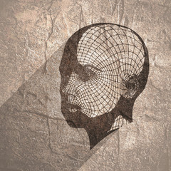 Wall Mural - head of the person from a 3d grid. human head wire model. 3d geometric face design. polygonal coveri