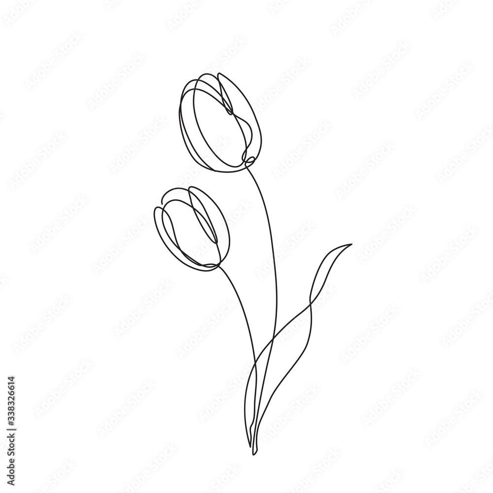 Pencil realistic tulip drawing tulips – Royalty-Free Vector | VectorStock, image size:1000x1000
