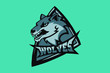 Hand drawn sport team mascot logo design. T-shirt print illustration. Wolf.