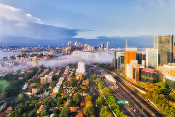 Canvas Print - D North Syd fog low CBD