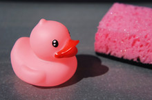Pink Rubber Duck And Bath Sponge On Gray Background