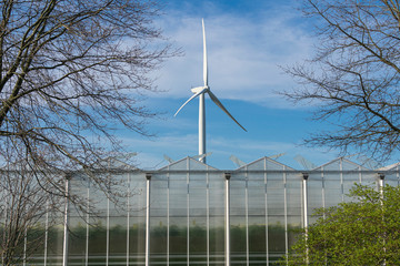 Wind turbine behind a greenhouse where tomatoes are grown, the photo was taken horizontally and in the foreground are trees