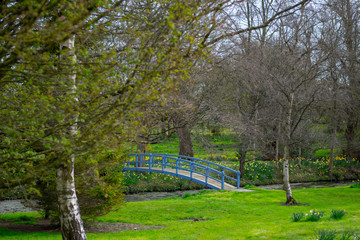  Blue Bridge at Steane Park