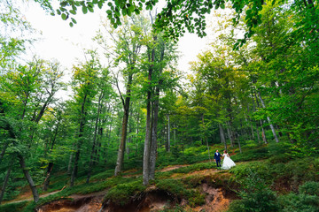 Wall Mural - the newlyweds hold hands in the forest. the forest is located on