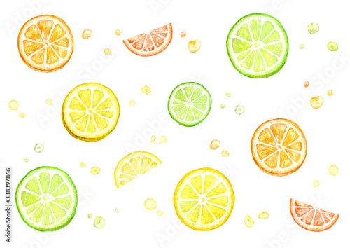 オレンジ レモン ライム 果物 フルーツ 水彩 Stock Illustration Adobe Stock