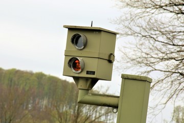 bird house on a branch