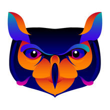 Abstract Owl Head Isolated On White. Graphic Cartoon Owl Portrait Painted In Imaginary Colors For Design Card, Invitation, Banner, Book, Scrapbook, T-shirt, Poster, Album Etc.