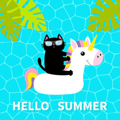 Poster - Hello Summer. Swimming pool water. Black cat floating on white unicorn pool float water circle. Top air view. Sunglasses. Lifebuoy. Palm tree leaf. Cute cartoon relaxing character. Flat design.