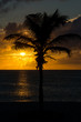  Sonnenuntergang am Strand mit einer Palme im Hintergrund