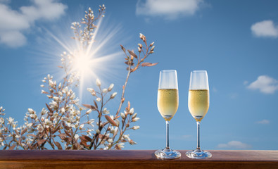 Two glasses of champagne against blue sky. Blurred spring blossom in the background. 