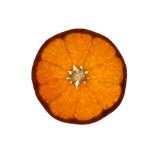 Slice Of Tangerine Fruit With Light Shining Through Backlight Showing The Structure And Details Isolated On A White Background