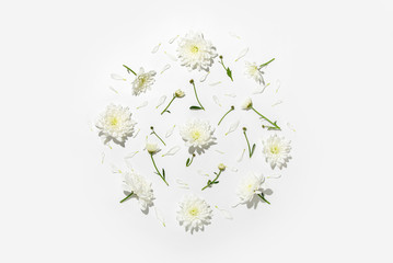 Wall Mural - Floral flat lay creative concept, white flowers and petals lying down on white background