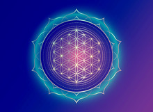 Flower Of Life, Yantra Mandala In The Lotus Flower, Sacred Geometry. Bright Golden Symbol Of Harmony And Balance. Mystical Gold Shiny Colorful Talisman, Vector Isolated On Purple Background 