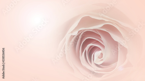 Fototapety róże  romantyczne-zmiekczone-rozowe-tlo-z-miejscem-na-tekst