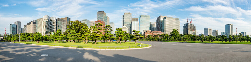 Panoramic view of the skyscraper buildings in the Marunouchi district, Chiyoda Ward, Tokyo, Japan