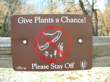 Brown Sign In The Park