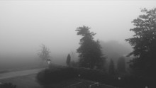 Park In Fog