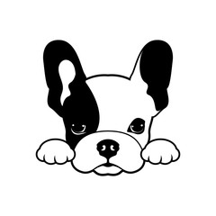 Wall Mural - Adorable French Bulldog waiting for his snacks. Cute Frenchie with bunny ears in black & white logo.