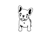 Cute French Bulldog Puppy. Feel Adorable And Funny With This Frenchie Style.
