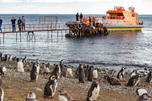 Tour Boat With The Tourists Embarked To Magdalena Island. Penguins Isle. The Penguins Natural Monument, Magellan Strait.