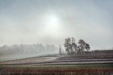 Fototapeta Na sufit - misty morning in the field