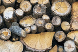Fototapeta Na sufit - stack of firewood