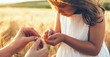 © Strelciuc - Caucasian mother and her girl looking at the wheat seeds posing in a field against the sunset