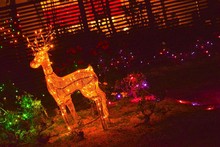 Illuminated Deer Sculpture