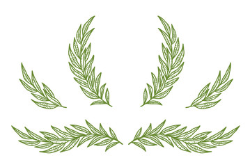 Wall Mural - vintage olive branches, twig and wreath set