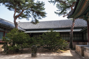 Wall Mural - small garden behind daejojeon hall