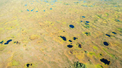 Wall Mural - Aerial summer landscape. Endless swamps and ponds in Torronsuo National park, Finland.