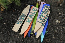 Close Up Of Hand Crafted Plant Labels Wood Markers For Organic English Vegetable Allotment Garden Raised Beds To Identify Growing Kale,  Lettuce, Potato, On Brown Ground Soil, Earth Dug For Planting
