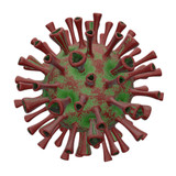 Fototapeta Mapy - 3d rendered illustration of a COVID-19 Coronavirus pathogen infection